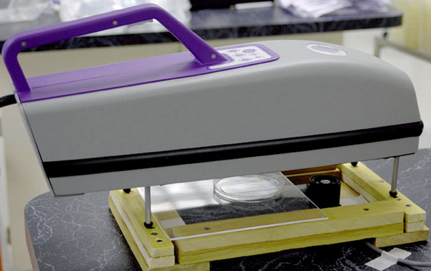 GermBuster™ ready to expose Bacillus atrophaeus