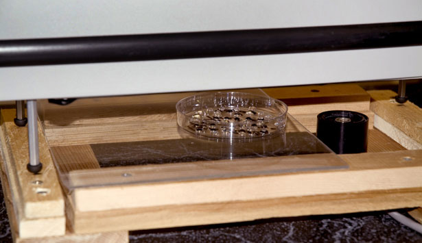 SHD022 Photodetector can be seen to the right of petri dish