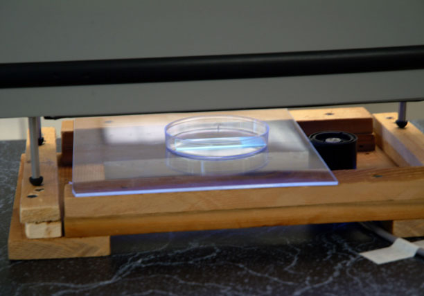 Exposing petri dish containing slide with Bacillus atrophaeus