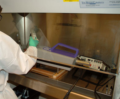 GermBuster&trade; under a biosafety cabinet